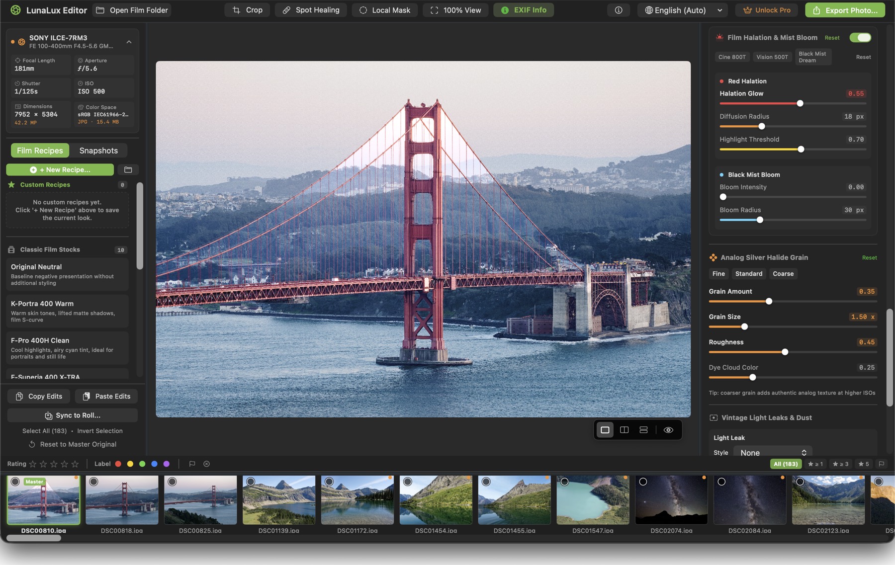 Film Halation & Mist Bloom and Analog Silver Halide Grain panels in LunaLux Editor